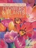Cover: How to Paint Flowers & Plants - Search Press Ltd