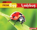 Cover: From Egg to Ladybug - Lerner Publications Co ,U.S.