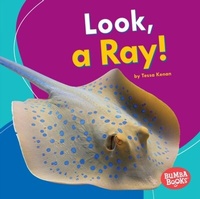 Enlarge image Cover: Look, a Ray! - Lerner Publications Co ,U.S.
