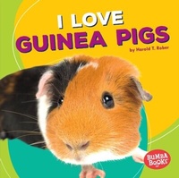 Abbildung von: I Love Guinea Pigs - Lerner Publications Co ,U.S.