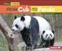 Cover: From Cub to Panda - Lerner Publications Co ,U.S.