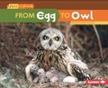 Cover: From Egg to Owl - Lerner Publications Co ,U.S.