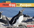 Cover: From Egg to Penguin - Lerner Publications Co ,U.S.
