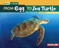 Cover: From Egg to Sea Turtle - Lerner Publications Co ,U.S.