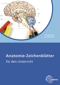 Abbildung von: Anatomie Zeichenblätter Arbeitsheft - Europa-Lehrmittel