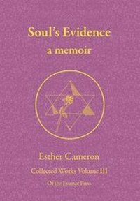 Enlarge image Cover: Soul's Evidence - Of the Essence Press