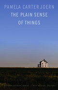 Cover: The Plain Sense of Things - Bison Books