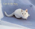 Cover: Cats in the Sun Calendar - Chronicle Books (CA)