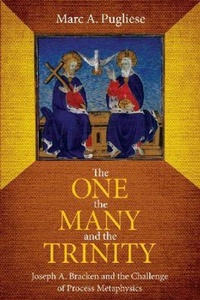 Enlarge image Cover: The One, the Many and the Trinity - The Catholic University of America Press
