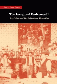 Abbildung von: The Imagined Underworld - University of Nebraska Press
