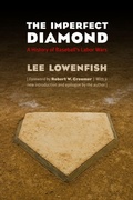 Cover: The Imperfect Diamond - Bison Books