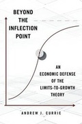 Cover: Beyond the Inflection Point - Page Publishing, Inc.