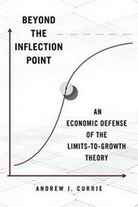 Enlarge image Cover: Beyond the Inflection Point - Page Publishing, Inc.
