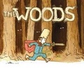 Cover: In the Woods - Chronicle Books