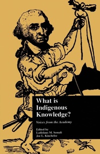 Enlarge image Cover: What is Indigenous Knowledge? - Routledge