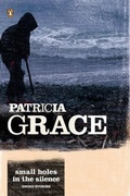 Cover: Small Holes in the Silence - Penguin eBooks (NZ Adult)