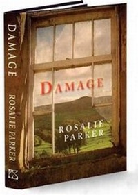 Enlarge image Cover: Damage - PS Publishing