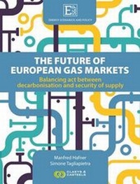 Abbildung von: Energy Scenarios and Policy Volume I: The Future of European Gas Markets - Claeys & Casteels Publishers BV