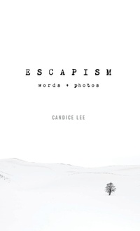 Enlarge image Cover: Escapism - Lyc Media