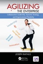 Cover: Agilizing the Enterprise - Auerbach