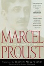Cover: The Complete Short Stories of Marcel Proust - Cooper Square Publishers Inc.,U.S.