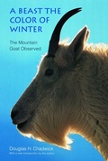 Cover: A Beast the Color of Winter - Bison Books