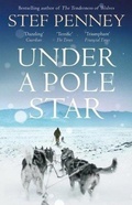 Cover: Under a Pole Star - Quercus Publishing