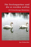 Cover: F&uuml;r Seelenpartner und die es werden wollen - epubli