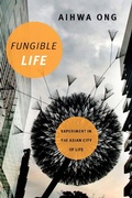 Cover: Fungible Life - De Gruyter