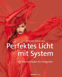 Abbildung von: Perfektes Licht mit System - dpunkt