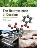 Bild: The Neuroscience of Cocaine - Academic Press