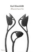 Cover: Karl Blossfeldt: Masterworks - Thames & Hudson Ltd