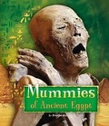Cover: Mummies of Ancient Egypt - Raintree