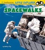 Cover: Spacewalks - Raintree