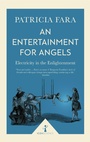 Cover: An Entertainment for Angels (Icon Science) - Icon Books