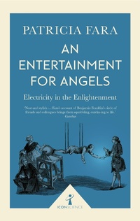 Enlarge image Cover: An Entertainment for Angels (Icon Science) - Icon Books
