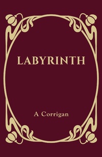 Abbildung von: Labyrinth - Matador