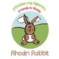 Cover: Rhodri Rabbit - Clumsy Rabbit Books