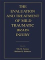 Cover: The Evaluation and Treatment of Mild Traumatic Brain Injury - Psychology Press