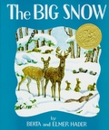 Cover: Big Snow - Prentice Hall & IBD