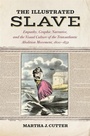 Cover: The Illustrated Slave - University of Georgia Press