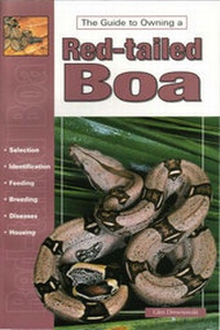 Abbildung von: Red-tailed Boas and Other Boa Constrictors - TFH Publications
