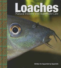 Enlarge image Cover: Loaches - TFH Publications,U.S.