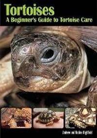 Abbildung von: Tortoises - TFH Publications,U.S.