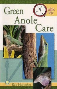 Abbildung von: Green Anole Care - TFH Publications,U.S.