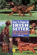 Cover: Guide to Owning an Irish Setter - TFH Publications