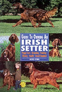 Enlarge image Cover: Guide to Owning an Irish Setter - TFH Publications