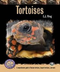 Abbildung von: Tortoises - TFH Publications,U.S.