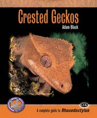 Abbildung von: Crested Geckos - TFH Publications,U.S.