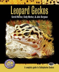 Abbildung von: Leopard Geckos - TFH Publications,U.S.